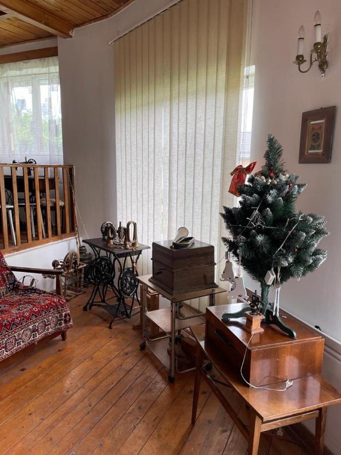 Villa Casa Adelina à Valea Lunga-Cricov Extérieur photo