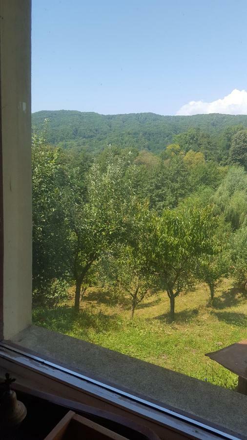 Villa Casa Adelina à Valea Lunga-Cricov Extérieur photo
